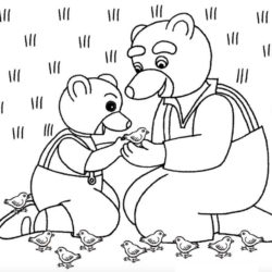 Coloriage Petit Ours Brun Les Coloriages Gratuits Un Max D Idees